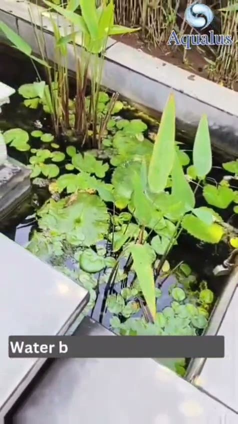 Water Fountains — clip 1